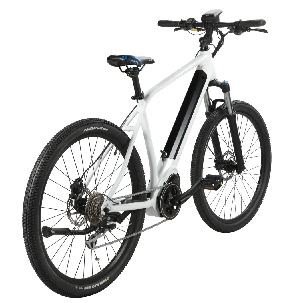 New Middle Drive 48V 26 Inch Moutain Electric Bike for Men with Good Price