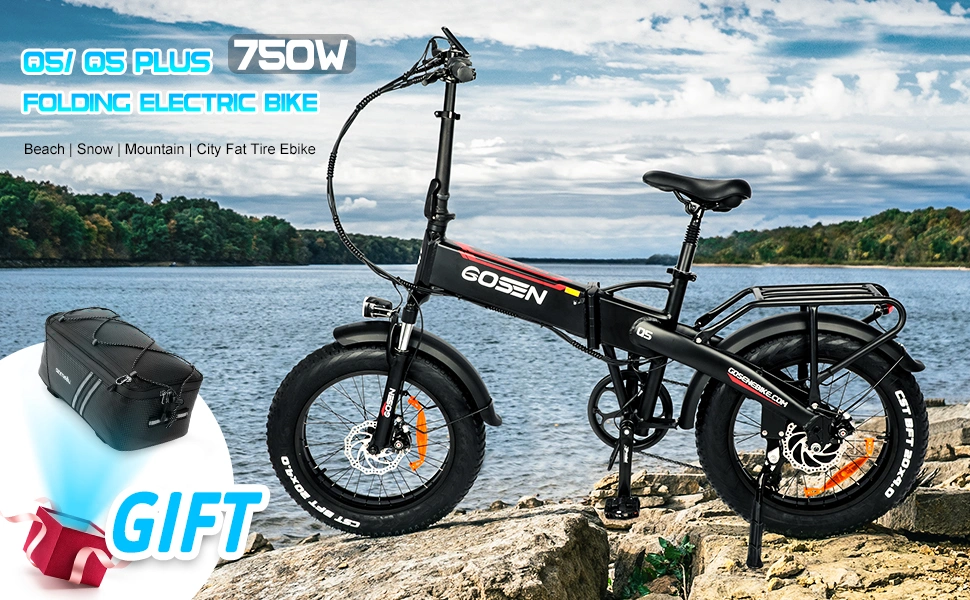 Electric Fat Bike Beach Cruiser Electric Bicycle 7 Speed 48V 750W E-Bike