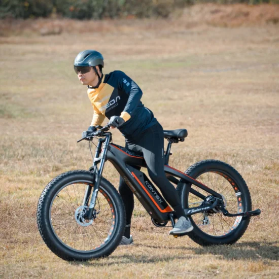 Карбоновая рама Dirt Cruiser Snow Electric Fat Ebike Bicicleta