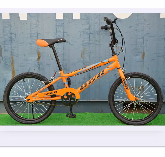 Сделано в Китае, 20-дюймовый велосипед BMX.