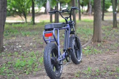 20-дюймовый электрический велосипед Mountain Fat Tire Beach Cruiser мощностью 750 Вт по хорошей цене