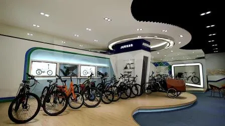 2021 Высокое качество 20 дюймов 350 Вт Мужской складной велосипед E-Bike Beach Cruiser Snow Электрический велосипед