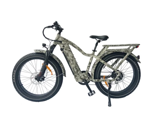 Queene/Bafang 500W/750W/1000W 26 Zoll Fat Tire Электро-горный велосипед Snow Cruiser E-Bike